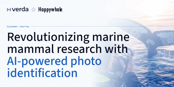 Revolutionizing marine mammal research with AI-powered photo identification