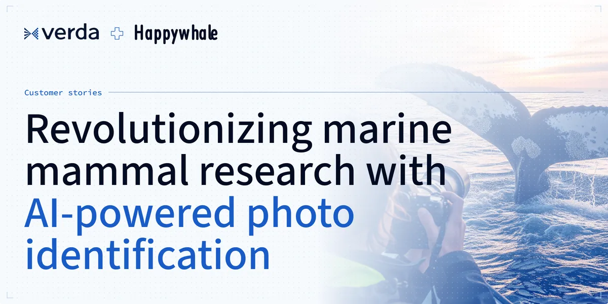 Revolutionizing marine mammal research with AI-powered photo identification